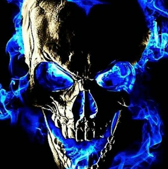 Meet your Posher, Jack - Picture 1 of 1